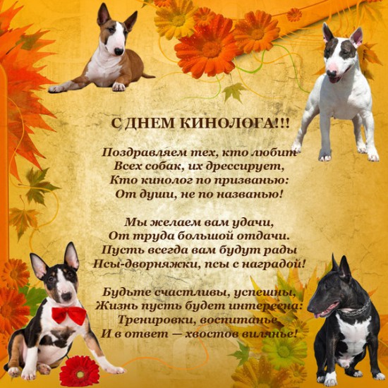 Открытки с днём кинолога скачать бесплатно. Открытки с днём кинолога 21 июня.