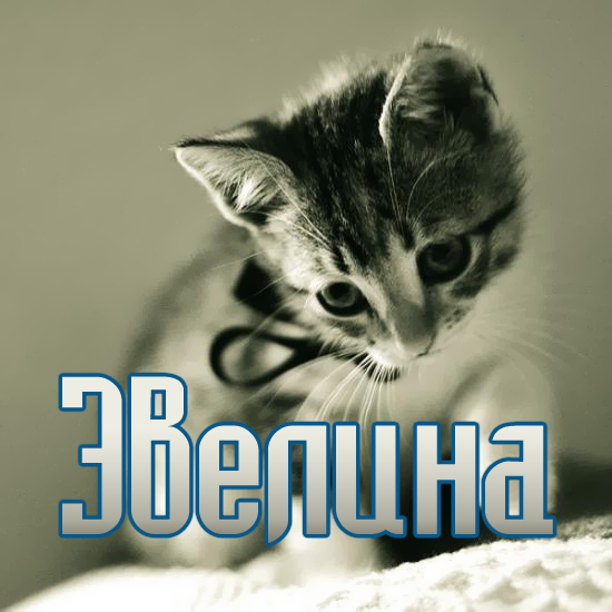 Поздравительные  открытки с именем Эвелина.  Открытки с именем Эвелина скачат...