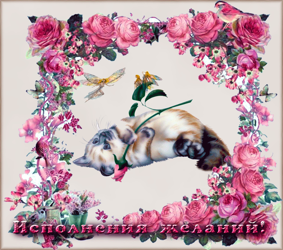 Самые лучшие открытки с пожеланиями исполнения желаний скачать бесплатно.