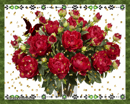 Открытки с красными пионами скачать. Открытки с красными пионами онлайн.
