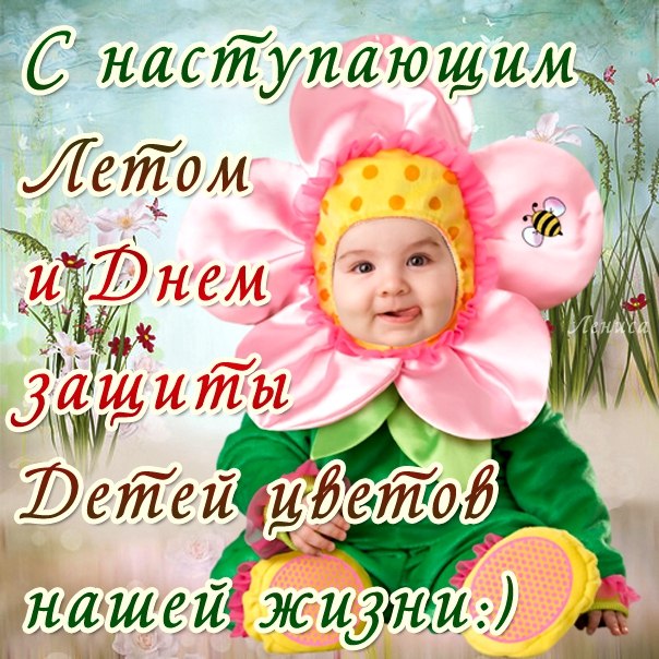 Открытки с первым днём лета скачать. Открытки с первым днём лета бесплатно.