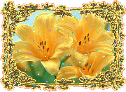 Открытки с желтыми лилиями gif. Открытки с желтыми лилиями скачать.