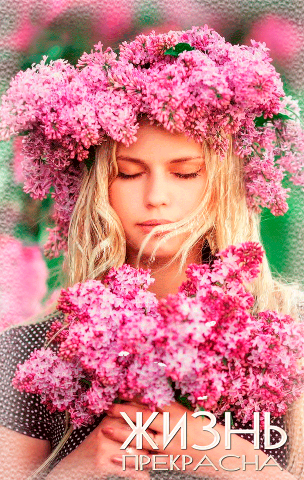 Открытки с розовой сиренью скачать бесплатно. Открытки с розовой сиренью онлайн.