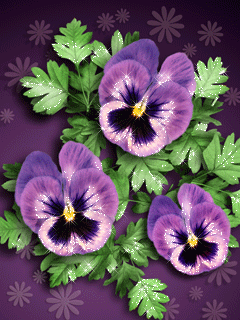 Открытки с фиолетовыми анютиными глазками скачать бесплатно.