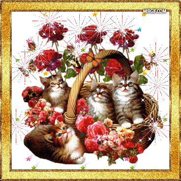 Открытки с кошками скачать бесплатно. Анимационные открытки с кошками.