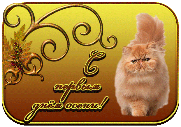 Открытки с первым днём осени скачать бесплатно. Красивые Открытки с первым дн...