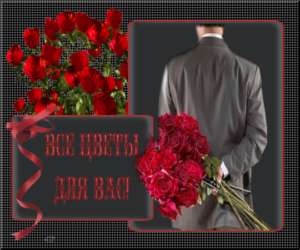 Скачать бесплатно анимационные открытки с цветами. Красивые открытки с цветами.