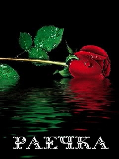 Открытки с именем Раиса скачать бесплатно. Открытки с именем Раиса ко дню рождения.