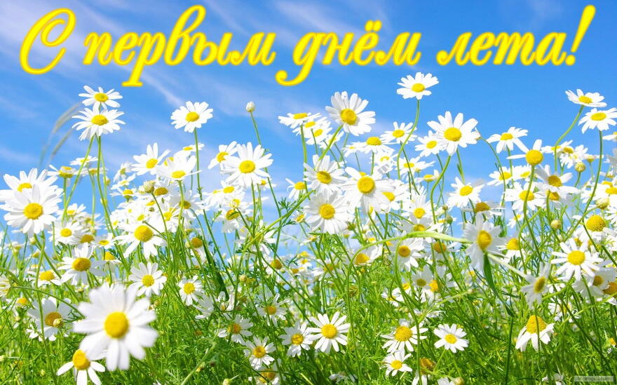 Открытки с первым днём лета скачать. Открытки с первым днём лета бесплатно.