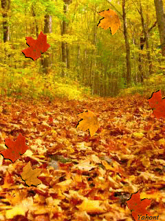 Открытки с листопадом скачать. Открытки с листопадом бесплатно.