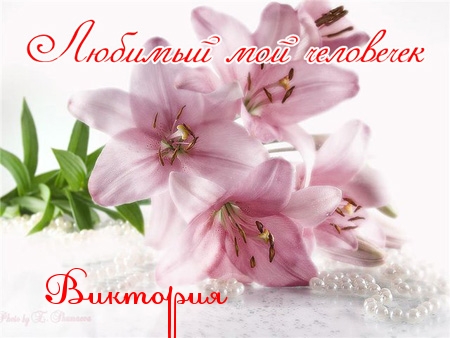 Открытки с именем Виктория скачать бесплатно. Открытки с именем Виктория с ан...