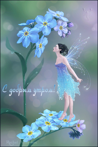 Открытки с феями gif. Анимационные открытки с феями.