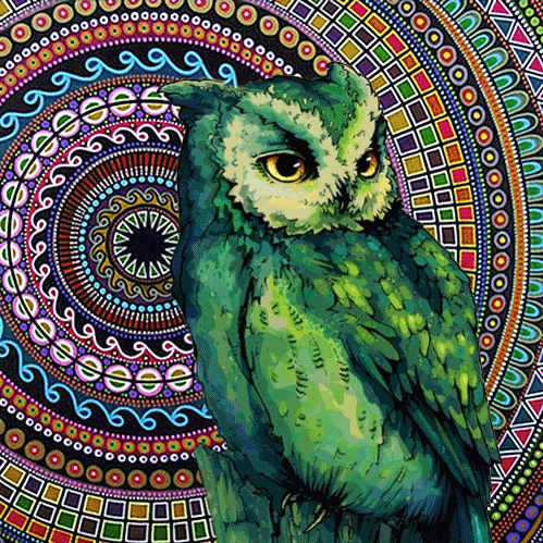 Открытки с совами скачать. Открытки с совами бесплатно онлайн.