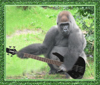 Открытки с обезьянами gif. Открытки с обезьянами скачать бесплатно.