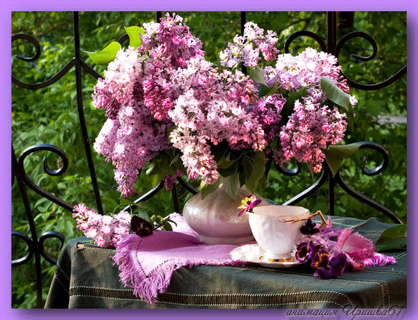 Открытки с розовой сиренью скачать бесплатно. Открытки с розовой сиренью онлайн.