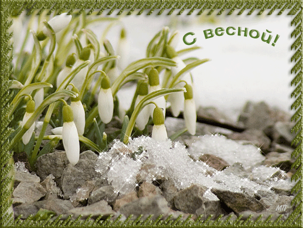 Открытки весна скачать бесплатно. Анимационные открытки весна.