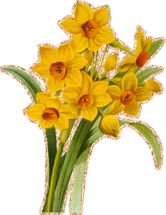 Открытки с желтыми нарциссами скачать бесплатно. Открытки с желтыми нарциссам...