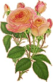 Открытки с чайной розой скачать бесплатно. Открытки с чайной розой онлайн.