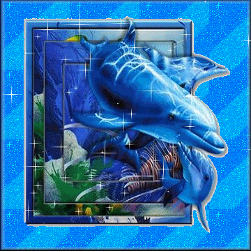 Открытки с дельфинами с анимациями. Открытки с дельфинами скачать.