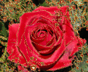 Скачать бесплатно анимационные открытки с цветами. Красивые открытки с цветами.