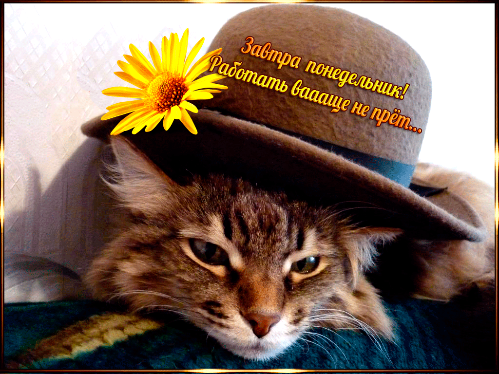 Открытки на понедельник скачать. Открытки на понедельник бесплатно.