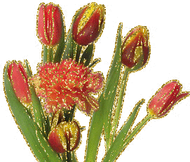 Открытки с красными тюльпанами скачать. Открытки с красными тюльпанами с аним...