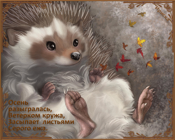Скачать бесплатно открытки с ёжиками. Открытки с ёжиками gif.