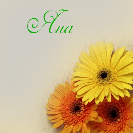 Открытки с именем Яна скачать бесплатно. Поздравительные открытки с именем Яна.