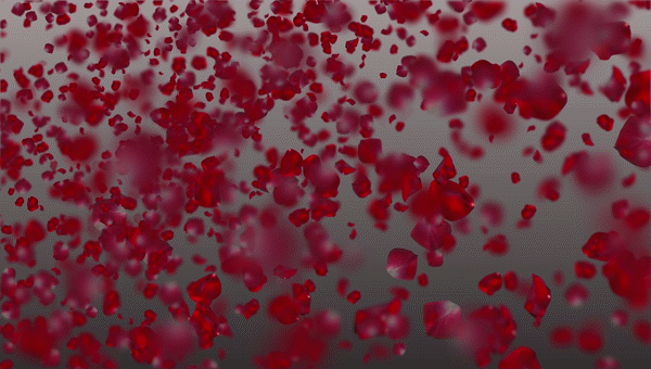 Открытки с лепестками цветов скачать бесплатно. Открытки с лепестками цветов ...