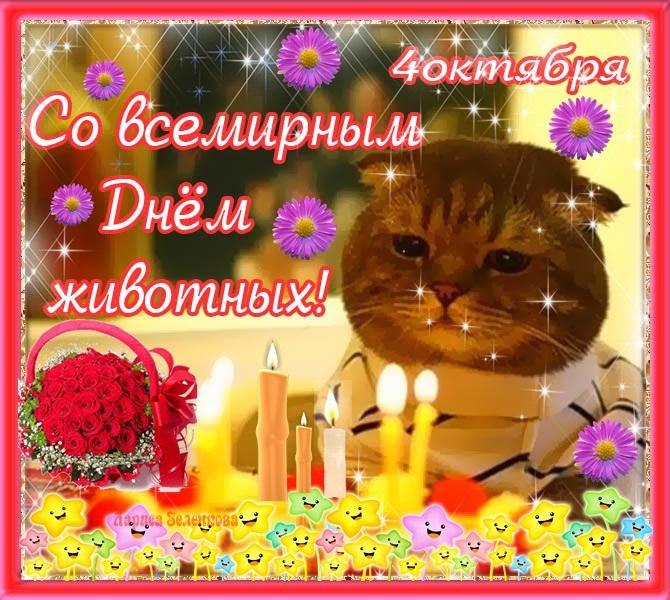 Открытки с днём защиты животных скачать бесплатно. Открытки с днём защиты жив...