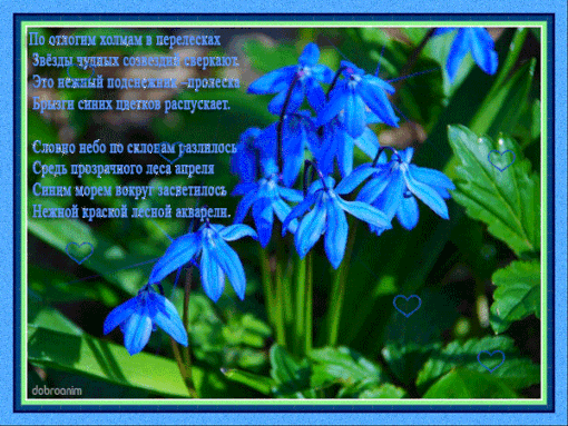 Открытки с пролесками скачать бесплатно. Открытки с пролесками онлайн.