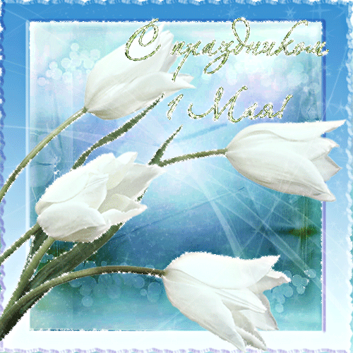 Открытки с 1 мая скачать бесплатно. Открытки на 1 мая gif.    