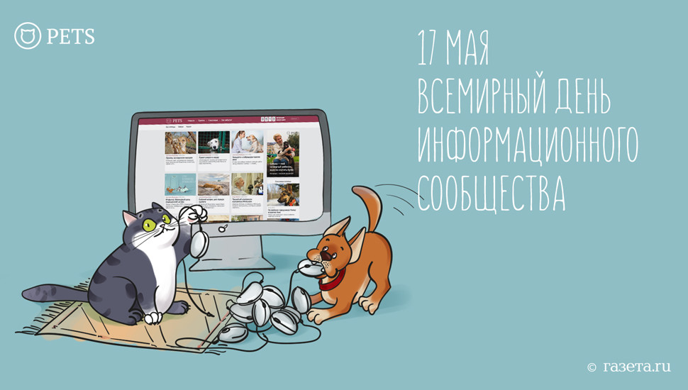 Открытки с днём информационного сообщества скачать бесплатно.