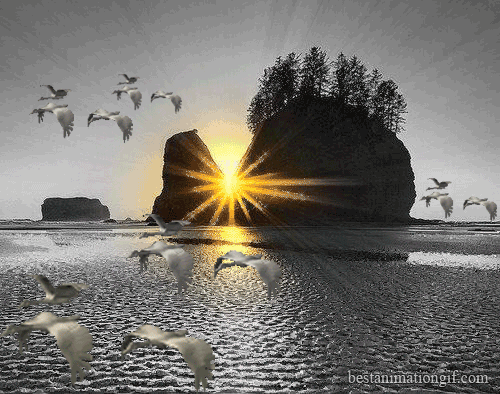 Открытки с озёрами с анимациями. Открытки с озёрами скачать.