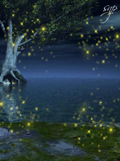 Открытки со светлячками с анимациями. Лесные светлячки открытки.