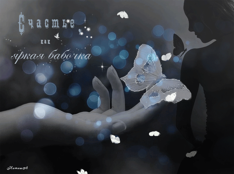 Открытки с бабочками с анимациями. Открытки с бабочками gif.