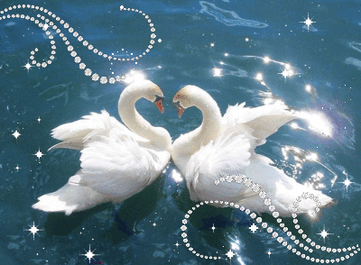 Открытки с лебедями скачать. Открытки с лебедями бесплатно. 