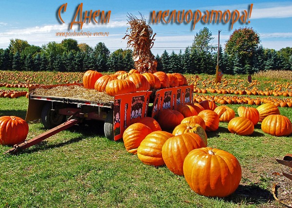 Открытки с днём мелиоратора скачать. Открытки с днём мелиоратора gif.