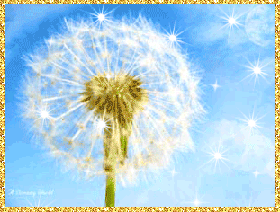 Открытки с белыми одуванчиками gif. Скачать открытки с белыми одуванчиками.