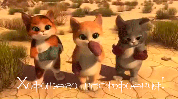 Открытки с кошками скачать бесплатно. Анимационные открытки с кошками.