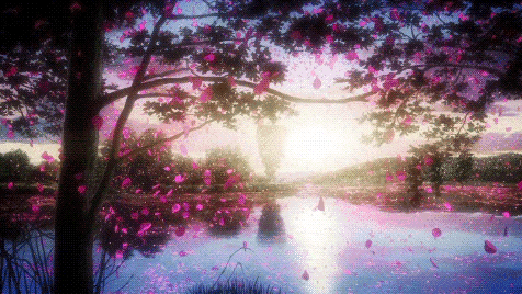 Открытки с сакурой gif. Дерево сакуры открытки скачать бесплатно.