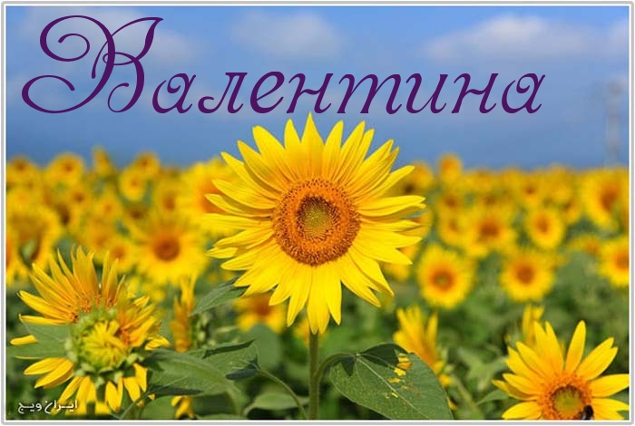 Открытки с именем Валентина скачать бесплатно. Открытки с именем Валентина gif.