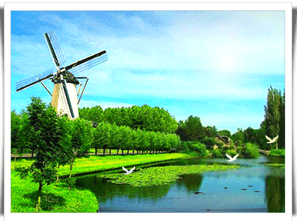 Открытки с мельницами скачать бесплатно. Открытки с мельницами онлайн бесплатно.