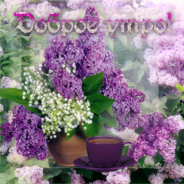 Открытки с букетом сирени скачать бесплатно. Открытки с букетом сирени онлайн. 