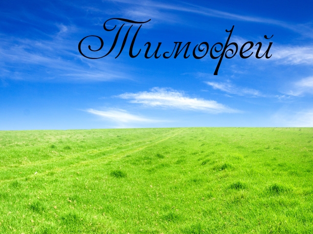 Открытки с именем Тимофей скачать бесплатно. Открытки с именем Тима скачать о...