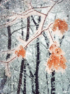 Открытки с зимней природой скачать бесплатно. Открытки с зимней природой онлайн.