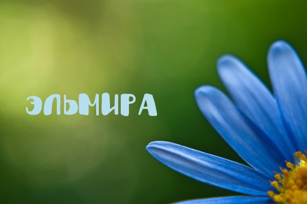 Открытки с именем Эльмира скачать бесплатно. Красивые Открытки с именем Эльмира.