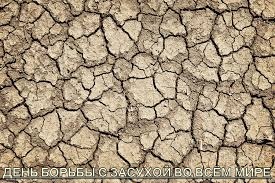 Открытки со Всемирным днём борьбы с засухой и опустыниванием.