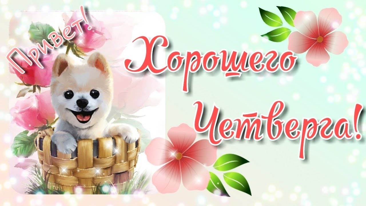 Привет четверг. Открытки с приколами и пожеланиями на четверг