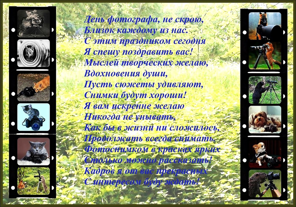 Открытки с днём фотографа скачать. Открытки с днём фотографа бесплатно.